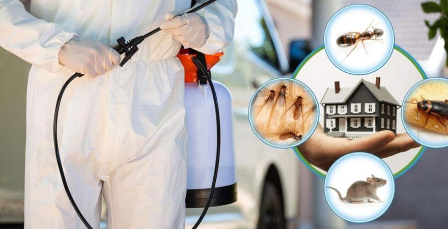 Kaynaklar Böcek İlaçlama