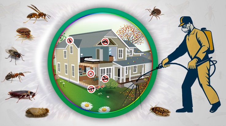 Kaynaklar Böcek İlaçlama