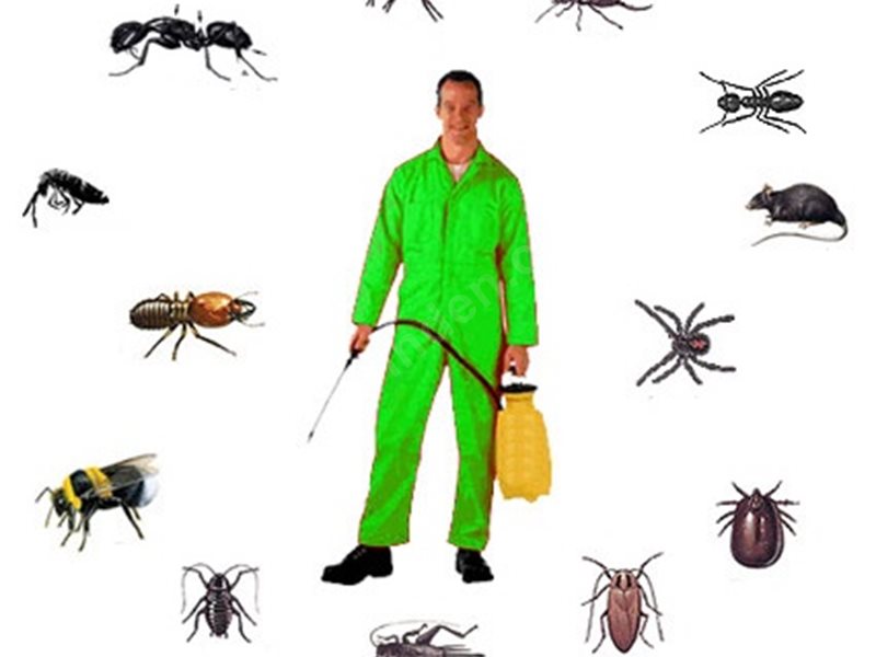 Kaynaklar Böcek İlaçlama